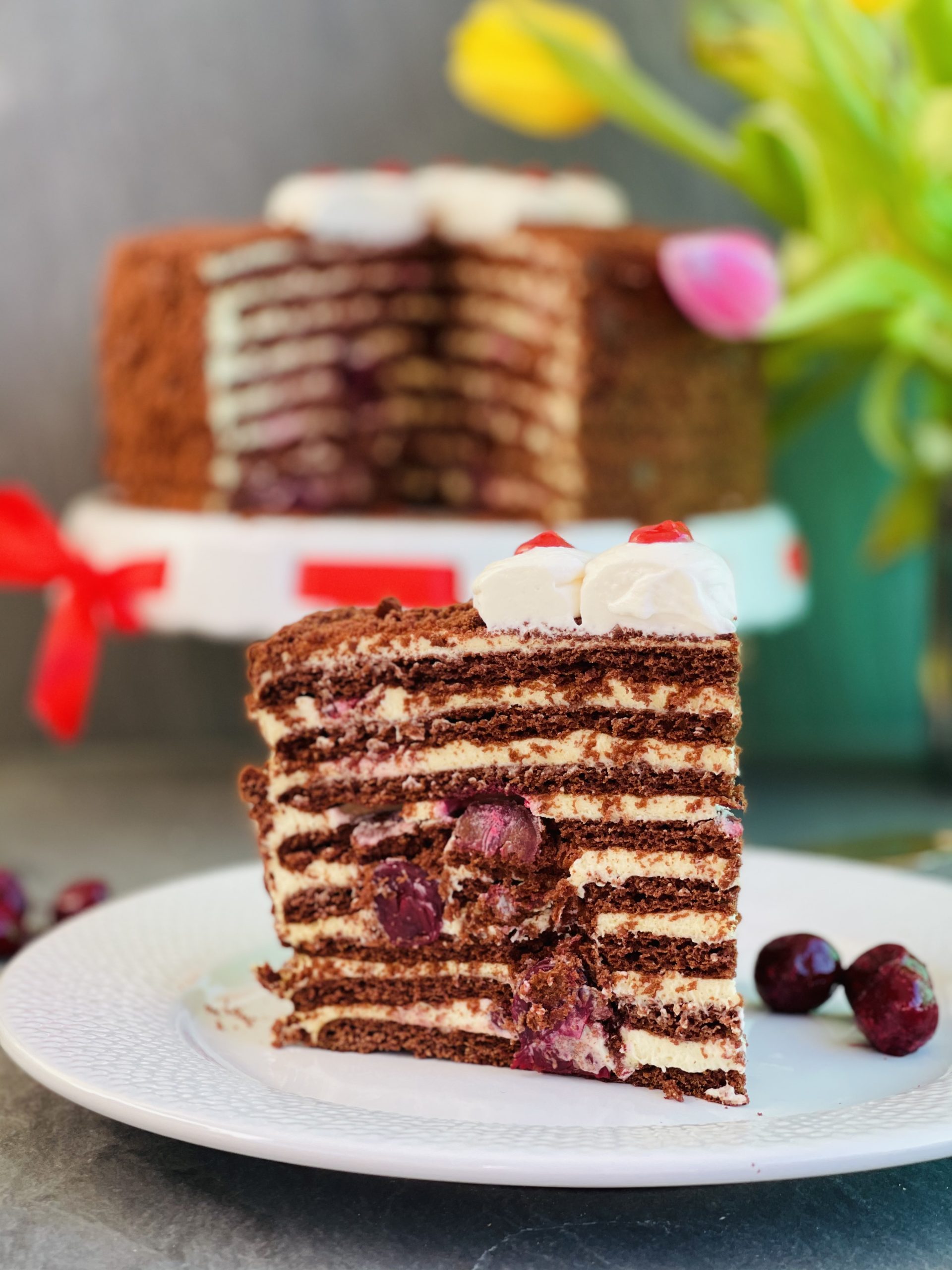 Tort Spartak cu cacao și vișine
