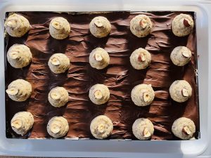 Prăjitura Alunița cu vanilie, alune de pădure și Nutella