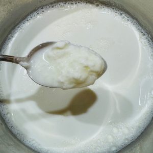 Iaurt grecesc cremos făcut în casă