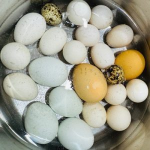 Ouă vopsite natural în vin roșu