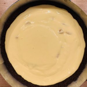 Cheesecake cu caise fără coacere