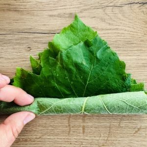 Frunze de vița de vie la borcan pentru sarmele