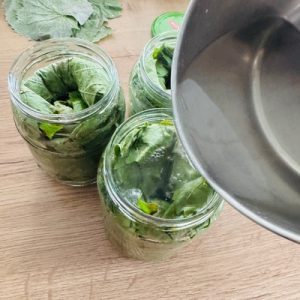 Frunze de vița de vie la borcan pentru sarmele