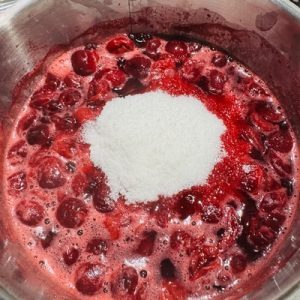 Tort cu mousse de mango și jeleu de vișine