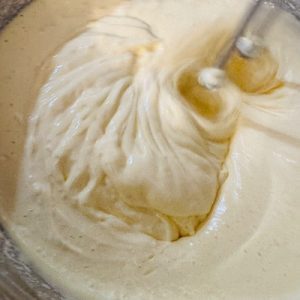 Tort cu mousse de mango și jeleu de vișine