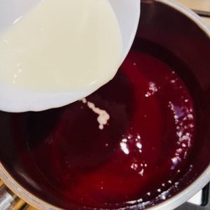 Tort cu mousse de mango și jeleu de vișine