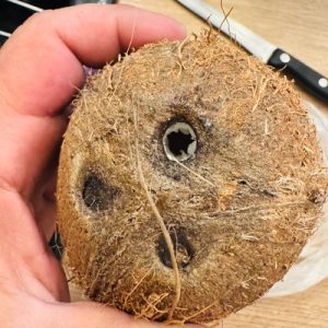 Limonadă de ananas cu cocos și lime