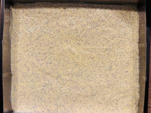 Prăjitură cu mac și mousse și jeleu de lămâie