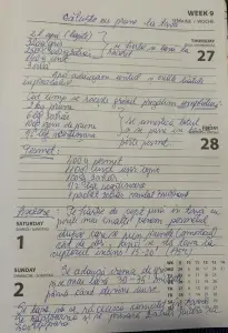 Gomboți cu prune la tava