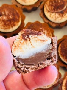 Tarte tiramisu cu cremă de cafea și ciocolată