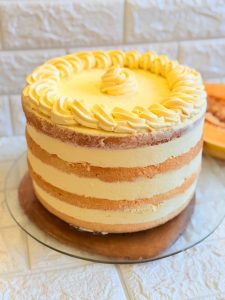 Tort melon velvet