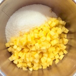 Praline Pina Colada