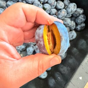 Prune umplute cu nuci în sirop propriu