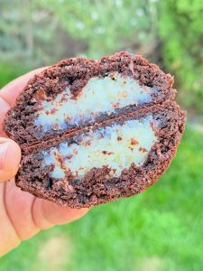 Cookies cu cocos și ciocolată