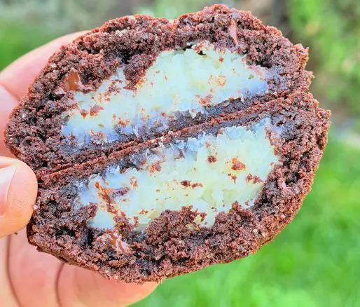 Cookies cu cocos și ciocolată