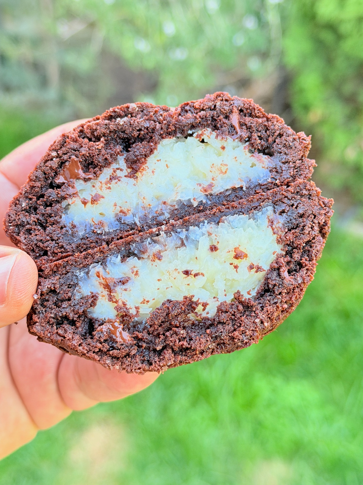 Cookies cu cocos și ciocolată