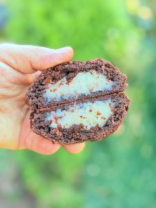 Cookies cu cocos și ciocolată
